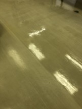 IMG_2349-e1590454124200